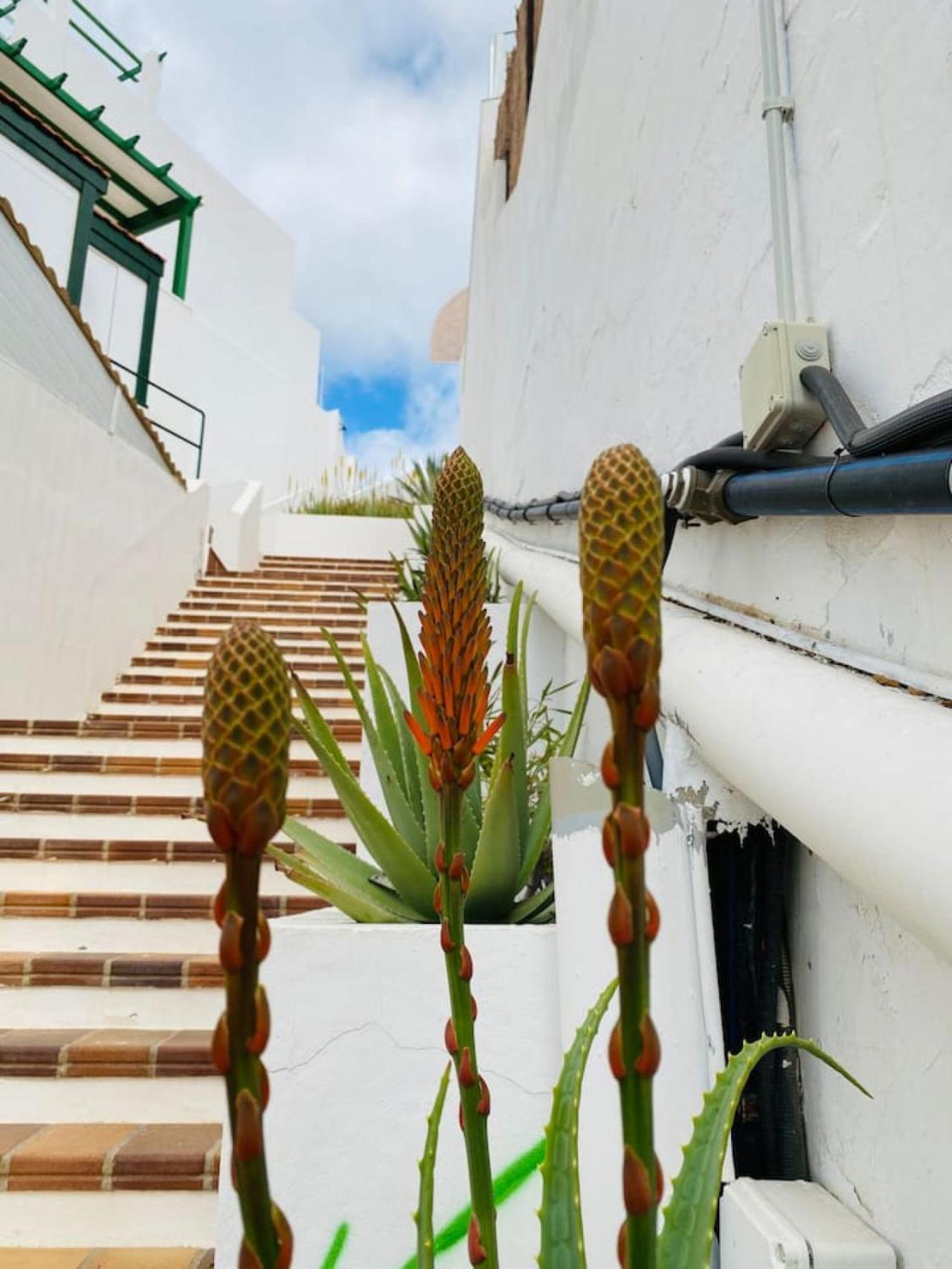 Tenerife.365 Atalaya Court II Sunset Ocean View Costa Adeje  ภายนอก รูปภาพ